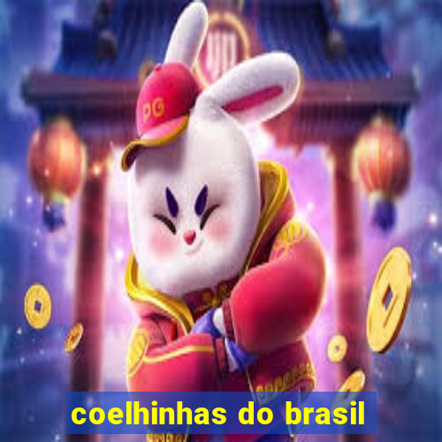 coelhinhas do brasil